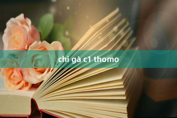 chi gà c1 thomo