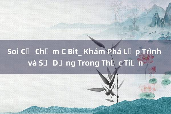 Soi Cứ Chấm C Bit_ Khám Phá Lập Trình và Sử Dụng Trong Thực Tiễn