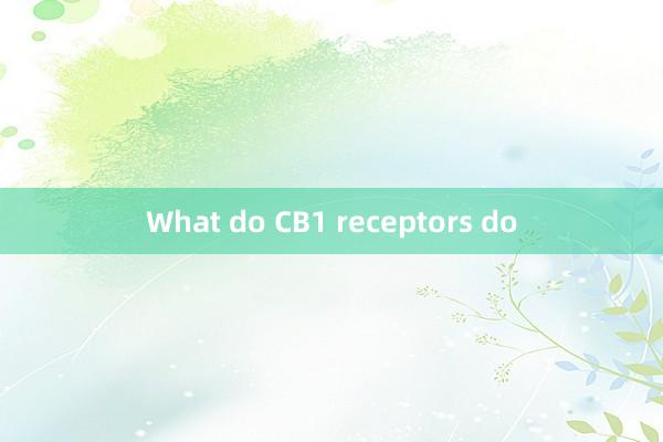 What do CB1 receptors do