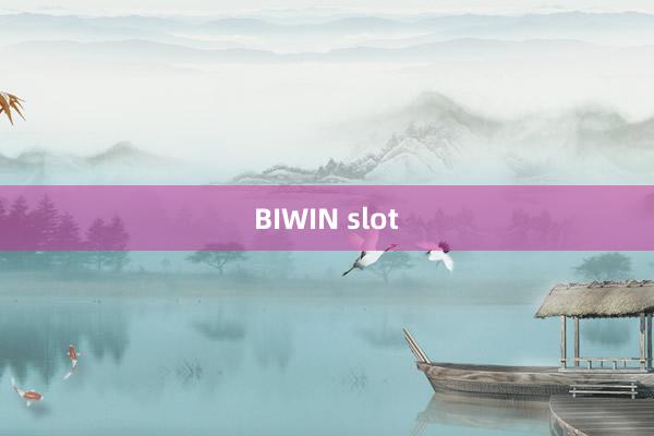 BIWIN slot