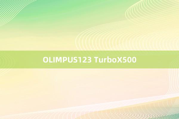 OLIMPUS123 TurboX500