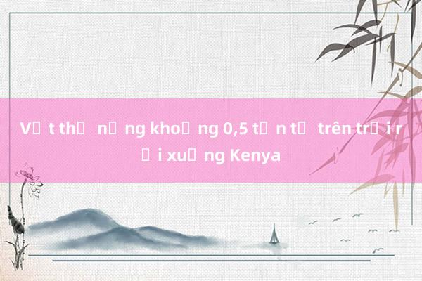 Vật thể nặng khoảng 0,5 tấn từ trên trời rơi xuống Kenya