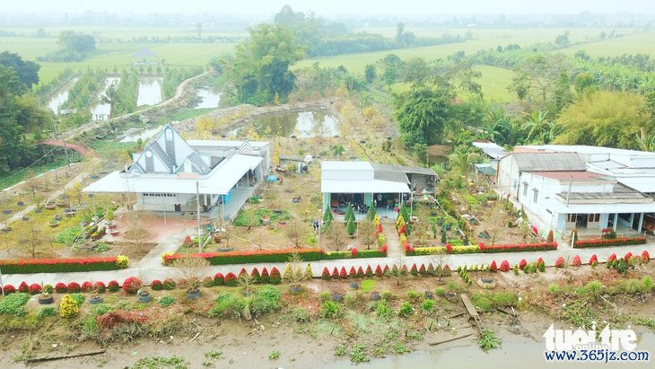 Hàng rào bông trang khoe sắc đón Tết - Ảnh 4.